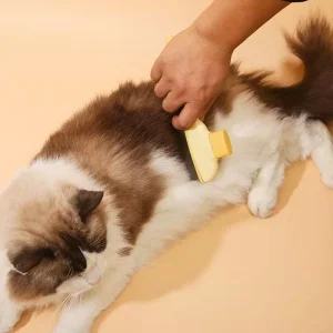 Peigne Attrape-Poils - MiraclePoil™