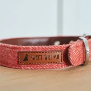 Collier pour chien – Orange Tweed