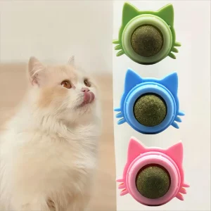 Jouet à Herbe à Chat Mural – Boule de Cataire Rotative avec Couvercle – Menthe Naturelle