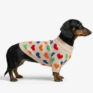 Pull pour chien teckel à motif en cœur