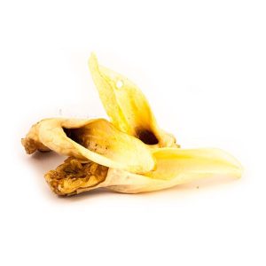 Oreille de chévre 250 gr Akyra
