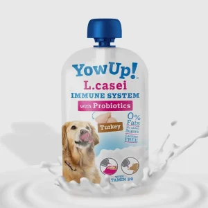 Yogurt YowUp! L-casei 115g à la dinde