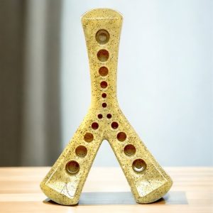 MOD Wishbone Jouet à mâcher en nylon ultra durable  Y Soda  Pup