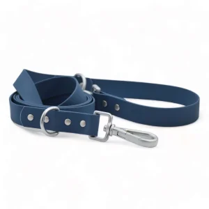 Laisse imperméable pour chien – Premium en PVC  6 pieds