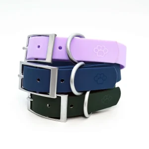 Collier pour chien imperméable – Série limitée| Quantité et couleurs limitées