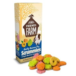 Tiny Friends Farm – Gerty Guinea Pig Scrummies – Friandises Cochon D&rsquo;Inde