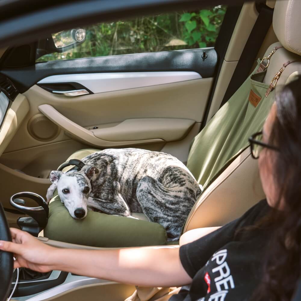 Coussin de voyage pour la sécurité arrière de siège unique pour chien de grande taille – Lit de voiture style échiquier – Image 2