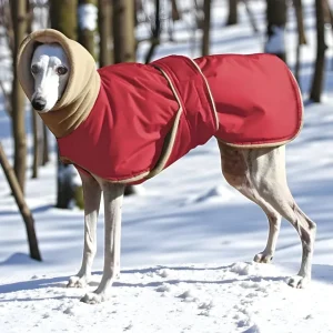 Manteau lévrier imperméable et coupe-vent